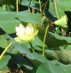 ???????????????????????????????